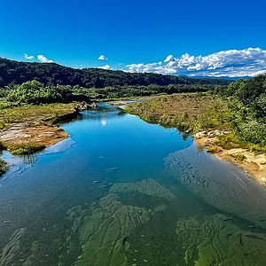 tamagawa.jpg