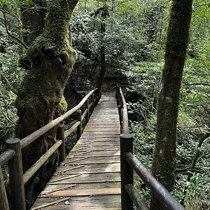 bridge.JPG