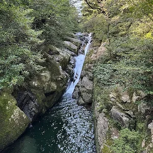 chute.JPG