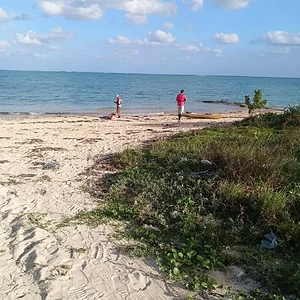 IMG_20231013_164516.jpg