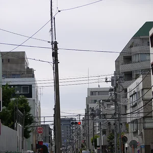 P1170094.JPG