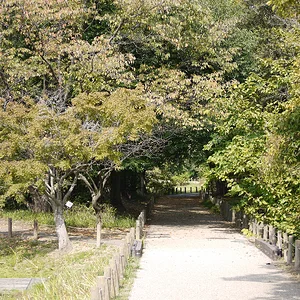 P1170235.JPG