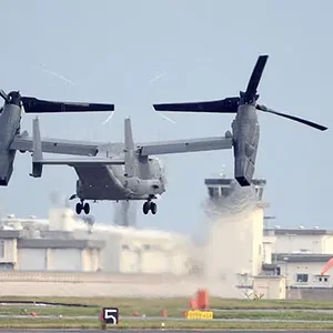 osprey.jpg