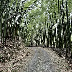 road 1.JPG