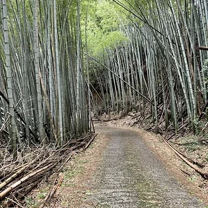 road 3.JPG