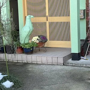 green bird.JPG