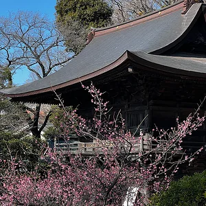 togakuin02.jpg