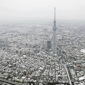 photo_l.jpg