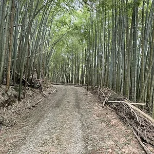 road.JPG