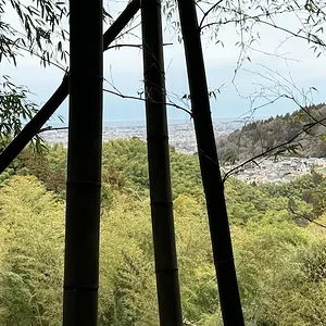 view.JPG