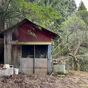 shed.JPG