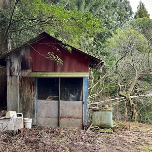 shed.JPG