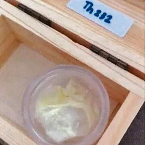 photo_l.jpg