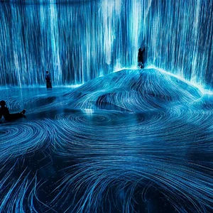 technology-conflict-nature-teamlab-borderless-digital-art-museum-azabudai-hills-tokyo-intervie...jpg