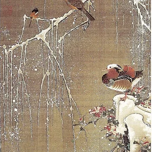 Mandarin ducks in the snow
