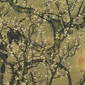 Plum blossoms in the moonlight