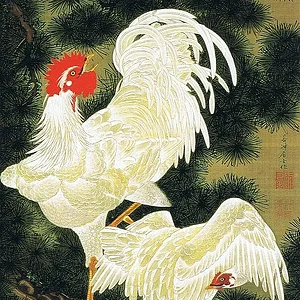 Old pine and white chicken