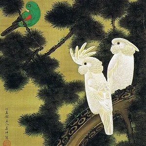 Old pine and parrot