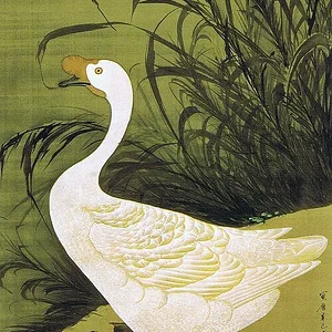 Reed goose