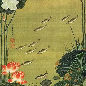 Lotus pond and fish