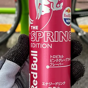 IMG_5281.jpeg