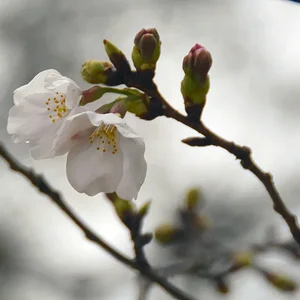 photo_l.jpg