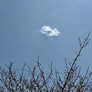 skywards.JPG