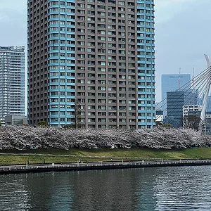 etchujima.jpg