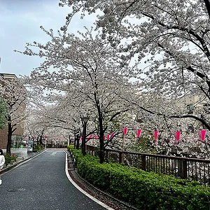 meguro03.jpg