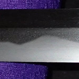 SBWD6842.jpg