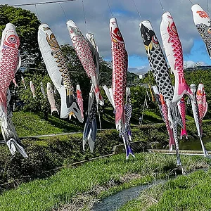 koinobori01.jpg