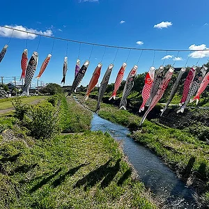 koinobori02.jpg