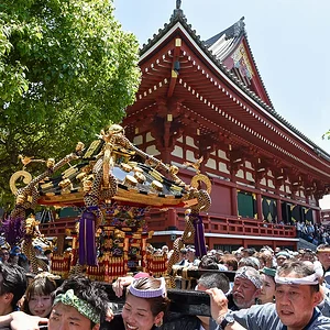 Sanja Matsuri 2024
