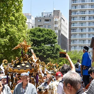 Sanja Matsuri 2024