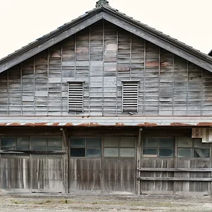 wood.JPG