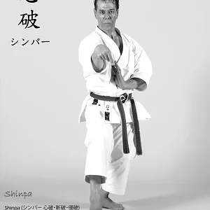 Tanzadeh-Sensei-performing-Shinpa-Kata-796x1024.jpg