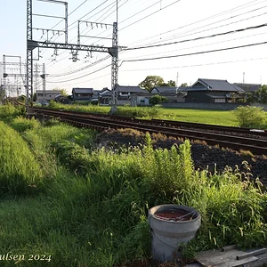 Japan_Aug_2024-8848.png
