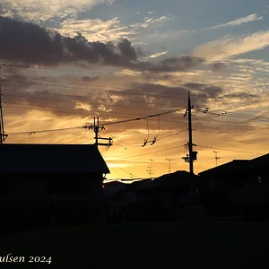 Japan_Aug_2024-8934.png