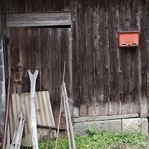 DSCF1408.webp