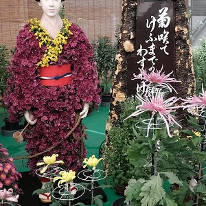 DSCF1510.webp