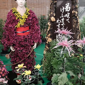 DSCF1510.webp
