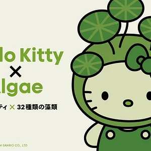 hellokitty-algae-01.webp