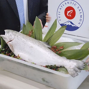 photo_l.jpg