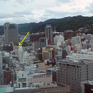 p858278737-2.jpg