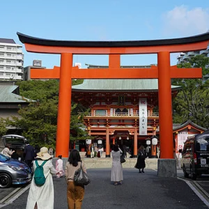 p839973646-2.jpg