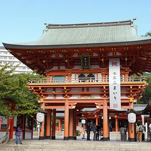p633774937-2.jpg