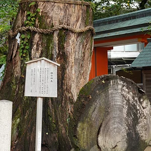 p746633722-2.jpg