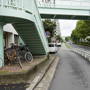p955910203-3.jpg