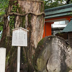p746633722-3.jpg