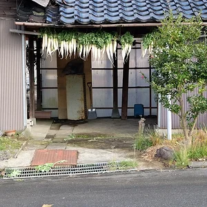 daikon2.webp